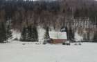 Teren intravilan 9.172 m2 + cabana 30m2 Loc Pintic Paltinu Com. Grinties - 5
