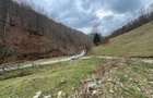 Teren intravilan 1.28ha Remetiperfect pensiune/cabane, zona turistica - 7