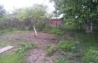 Casa 3 camere - Lazu | Teren 600 mp - 7
