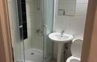 Inchiriez apartament cu o camera zona Lidl Nicolina - 7