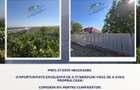 Casă individuală cu 4 camere cu Teren 1723 Mp în Rasova - 9
