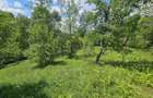Teren Construcții intravilan de 2500 mp, în Valea Doftanei - 2