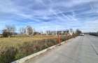 Teren Construcții de 3000 mp, în Șagului - 2