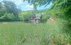 RECO, Cabana pe apa in Padurea Neagra, Bihor - 5