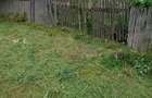 2 case de vinzare IN BOIAN 25000 eur pe casa - 1