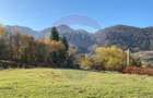 Teren intravilan de 4312 mp, în Tohănița - 1