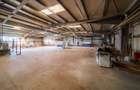 SPATIU MULTIFUNCTIONAL | DE INCHIRIAT | BEIUS - 2