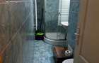 Apartament cu 2 camere decomandat în Nufărul - 9