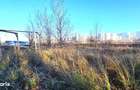 Teren intravilan, 2 fronturi, Drumul Padurea Pustnicu 65 - Greenfield - 11