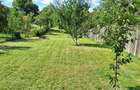 Casa 4 camere libera la vanzare SACELE - TURCHES - 5