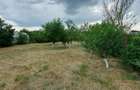 Teren intravilan de vanzare | 900 mp | Movila | Toate utilitatile - 7