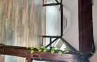 Vand spatiu comercial si de locuit P+M Ady Endre - 9