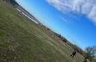 Vand teren lac /baraj Ianova (Remetea Mare) - 7