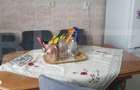 Apartament cu 2 camere, semidecomandat in Vatra Dornei - 2