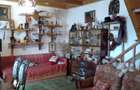 Casa de vacanta izvorul rece balta Mara cabana vanatorului - 3