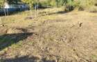 Teren Construcții intravilan de 699 mp, în Noua - 4