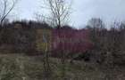 Teren de vanzare in Brebu - Raul Doftana - 5