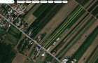 Teren de Vanzare. Investitie Casa. 5000 m2. 36km de Bucuresti (A1). Gaiseni, Giurgiu - 1