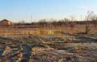 Teren Construcții intravilan de 5000 mp, în Periferie - 4