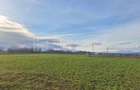 Teren Construcții intravilan de 1800 mp, în Hălchiu - 3