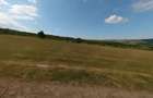 Teren extravilan de vanzare - 5700 mp in Judetul Brasov - 2