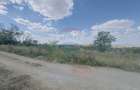Teren agricol intravilan de 6372 mp, în Paleu - 6 Teren agricol intravilan de 6372 mp, în Paleu - 6