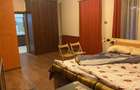 Apartament cu 2 camere nedecomandat în Bucovăț (Remetea Mare) - 5
