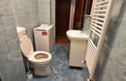 Apartament cu 3 camere decomandat în Haliu - 6