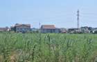 OCAZIE !EFORIE NORD  TEREN DE 1.666 MP PRET 199.000 EURO - 3