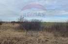 Teren intravilan 13800 mp - Centura de Nord Arad - 3