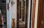 3 camere hol H, Teiul Doamnei, Maica Domnului - 7