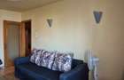 Apartament cu 2 camere decomandat în Abator - 2