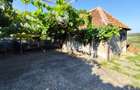 Casa la tara, Calea Mare, Bihor, teren mare, 2 intrari auto vanzare - 20