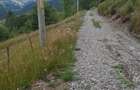 Teren de 8000 mp, în Arieșeni - 6