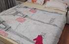 apt 2 camere Gorjului - 3