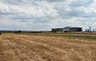 Teren intravilan de 8000 mp, în Șimnicu de Sus - 3