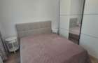 Apartament 2 camere de inchiriat pe Strada Banatului (zona RMB) - 7