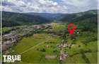 Cabana de vanzare, 150m2, teren 4015m2, Lunca Bradului! - 20