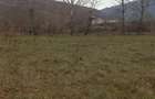Teren agricol extravilan de 2230 mp, în Mehadia - 4