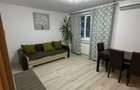 Apartament 3 camere Drumul Taberei - 13