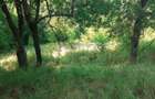 Teren de 700 mp, în Roșcani - 3