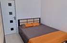 Apartament cu 2 camere semidecomandat în Giurgiului - 9