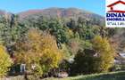 3600 mp teren intravilan, sat Bistrita, 12 Euro mp - 8