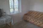 Casă cu 3 camere în Leu - 2