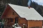 Teren intravilan 9.172 m2 + cabana 30m2 Loc Pintic Paltinu Com. Grinties - 2