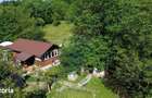 Casa de vanzare in natura la tara - Mihaesti - 20