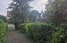 Proprietar vand vila p+1 zona centrala Timisoara (mobilata sau nu) - 3
