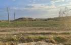 Teren Construcții de 5000 mp, în Nord - 8