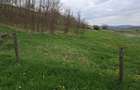 Vand teren sat Ghilanesti com Cristesti Botosani 5400 m2 - 4