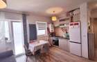 Apartament cu 2 camere decomandat în Turnișor - 9